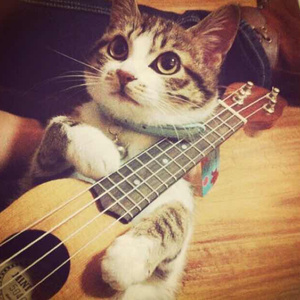 啊⋯日出水了⋯用力乖乖在线
